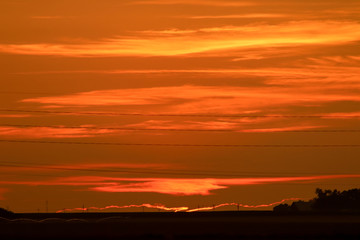 Mix of Orange 
