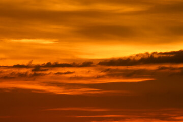 Amazing Colors 