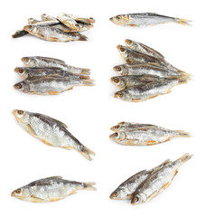Set of tasty dry fish on white background