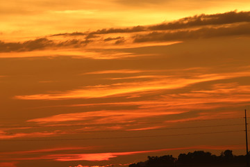 sunset in the fields