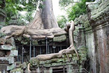 statue of buddha in thailand
