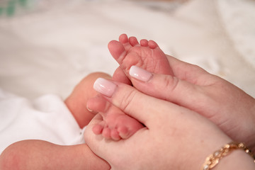 baby feet in mothers hand