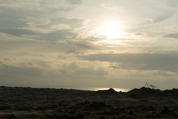 Beautiful dawn, morning sun rises by the sea. Scenic beach, coastline, rocks, cloudscape and skyline photography. Sunrise during the early hours of a summer morning by the beach. Sunset by the beach.