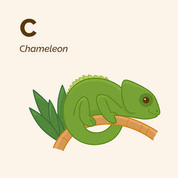 Cartoon chameleon, cute character for children. Good illustration in cartoon style. Animal alphabet.