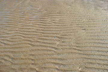 texture of sand