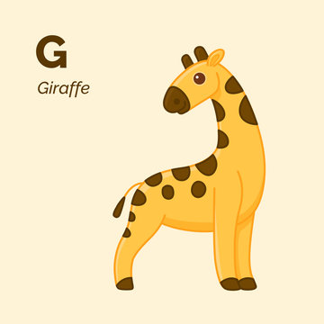 Cartoon giraffe, cute character for children. Vector illustration in cartoon style. Animal alphabet.