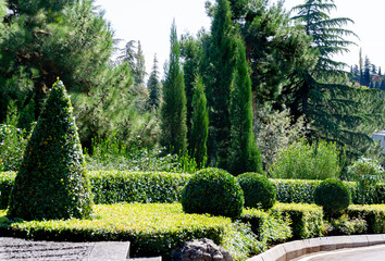 Picturesque example of topiary art with evergreens. Geometric figures from evergreens against...
