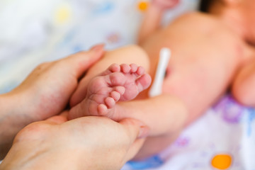 Naklejka premium baby feet in mothers hands