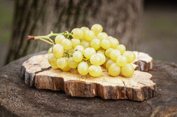 Ripe Green Grapes on an Old Tree Stump.