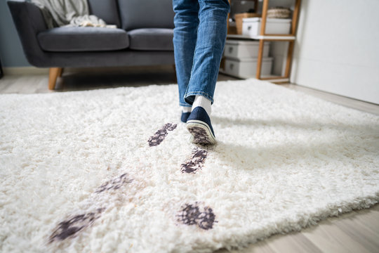 Elevated View Of Muddy Footprint On Carpet