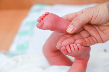 baby feet in mothers hands