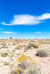 Petrified forest national park, Arizona, USA, united states of America/October 11 2019:   landscape of desert
