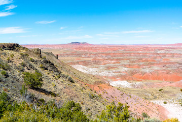 Petrified forest national park, Arizona, USA, united states of America/October 11 2019:  Panoramic view of landscape