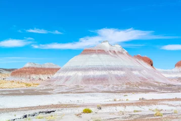 Foto op Canvas Petrified forest national park, Arizona, USA, united states of America/October 11 2019:  Panoramic view of landscape  © NEKOMURA