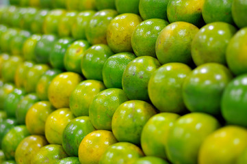 Tropical Fruit - Orange
