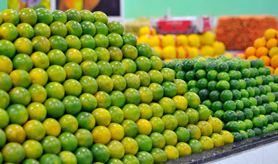 Tropical Fruit - Orange