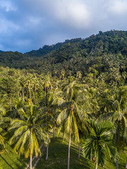 Fototapeta na wymiar Hilly Jungle of Ko Pangan.Thailand