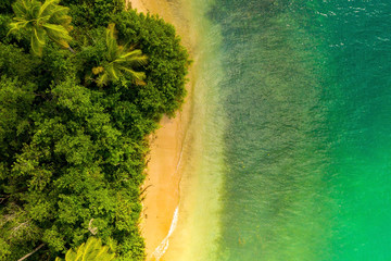 Beautiful tropical Barbados island. View of the golden beach with palms and crystal clear water....