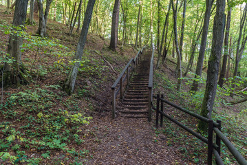 Stair on a trial in Piekielko natural reserve, part of Welski Landscape Park in Poland