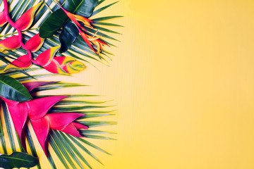 summer tropical concept background with exotic flowers and palm leaves
