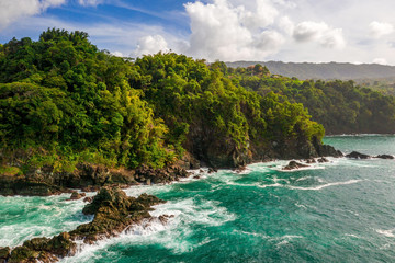 Beautiful tropical Barbados island. View of the golden beach with palms and crystal clear water....