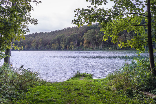 Lake shore in Retno natural reserve in Brodnica Landscape Park on the area of Brodnica Lakeland in Poland