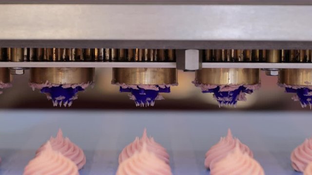 Cakes on automatic conveyor belt , process of baking in confectionery factory.