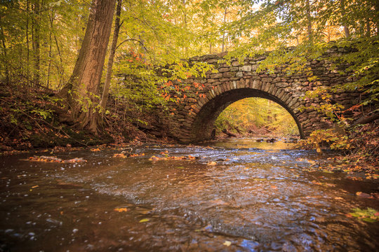 Autumn Archway