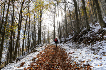 Fototapeta premium Winter's arrival in the Montseny natural park (Catalonia,Spain)