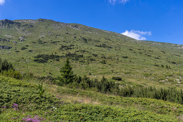 Fototapeta na wymiar landscape of Belmeken Peak, Rila mountain, Bulgaria