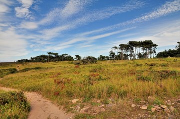 Sentier GR34 de la côte à Erquy en Bretagne. France