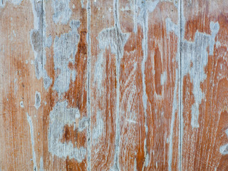 Vintage wood background texture. Abstract wood texture Background.
