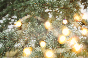 Fir branches with christmas lights. Bokeh retro vintage effect toning. Copy space. Festive New Year concept