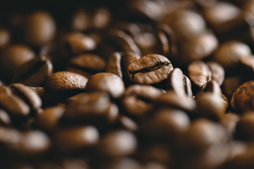 Coffee Bean