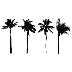 Set of palm tree silhouettes, vector illustration.