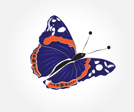 Butterfly Blue Close Up Insect Logo Vector Image