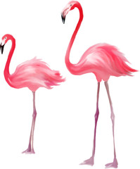 Pink flamingo. Purple bird background. Good for textile, greeting card, t-shirt print and other design.