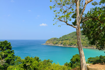 Nature scene tropical beach and blue sky