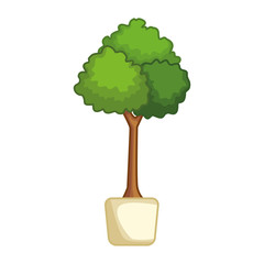 tree plant in the pot icon