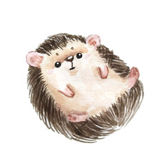 Set of hedgehogs. Natural background with cute watercolor cartoon character. - Illustration