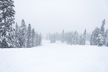 Deep snow at Idaho Ski Resort