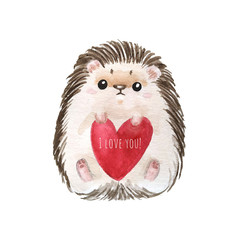 Holiday card with hedgehog, red heart and text I love you for St. Valentine day. White background with cute watercolor cartoon character. - Illustration