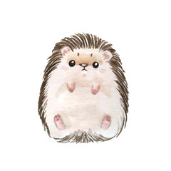 Set of hedgehogs. Natural background with cute watercolor cartoon character. - Illustration