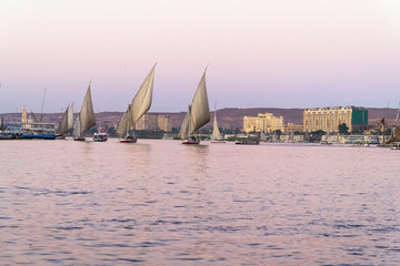  Aswan Feluccas Sailing Egypt