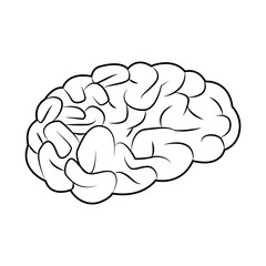 human brain icon, flat design