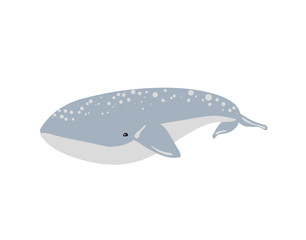 Vector illustration of whale. © Bonnie Cocos