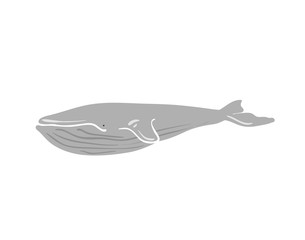 Vector illustration of whale. © Bonnie Cocos