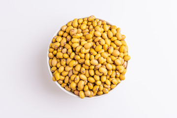 Bolinha Beans isolated on white background, soft light, Latin term 