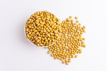 Bolinha Beans isolated on white background, soft light, Latin term 