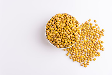 Bolinha Beans isolated on white background, soft light, Latin term 